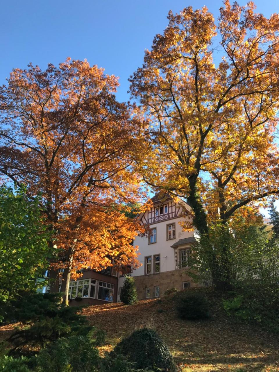Waldhotel Bad Muenstereifel Eksteriør bilde
